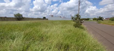 imagem 4 - Terreno à venda no bairro Jardim São Francisco imagem 4 - Terreno à venda no bairro Jardim São Francisco
