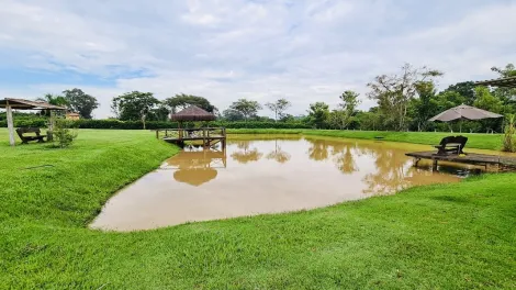 imagem 4 - Sítio encantador a venda em Charqueada imagem 4 - Sítio encantador a venda em Charqueada