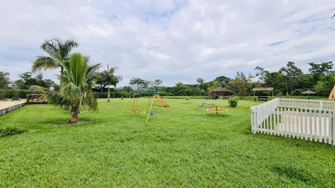 imagem 5 - Sítio encantador a venda em Charqueada imagem 5 - Sítio encantador a venda em Charqueada