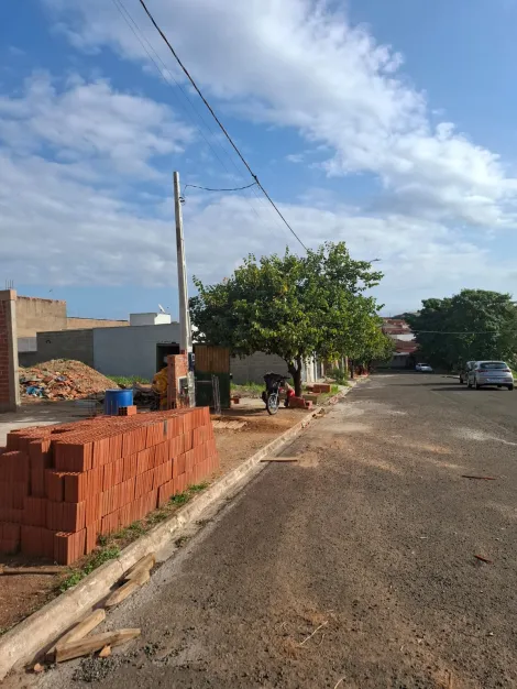 imagem 2 - Lote Residencial Paulista - Pauliceia imagem 2 - Lote Residencial Paulista - Pauliceia