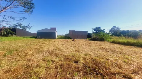 imagem 3 - Lote no Jardim Laranjal imagem 3 - Lote no Jardim Laranjal
