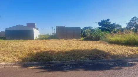 imagem 5 - Lote no Jardim Laranjal imagem 5 - Lote no Jardim Laranjal