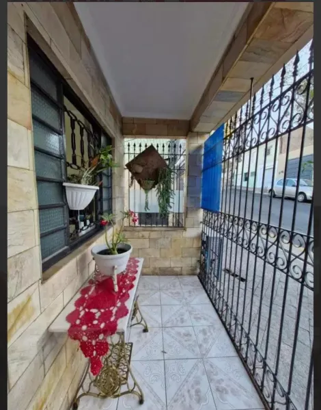 imagem 1 - 3 Casas a venda  no Tradicional Bairro Paulista, em Piracicaba - Oportunidade para Investidores . imagem 1 - 3 Casas a venda  no Tradicional Bairro Paulista, em Piracicaba - Oportunidade para Investidores .