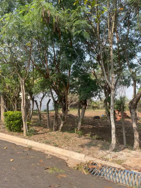 imagem 3 - Terreno à venda no bairro São Jorge imagem 3 - Terreno à venda no bairro São Jorge