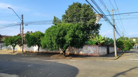 imagem 4 - Terreno de esquina à venda em Santa Terezinha imagem 4 - Terreno de esquina à venda em Santa Terezinha