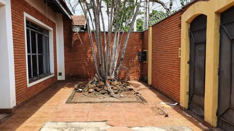 imagem 3 - Casa na Vila Rezende Próximo ao Hospital Fornecedores de Cana imagem 3 - Casa na Vila Rezende Próximo ao Hospital Fornecedores de Cana