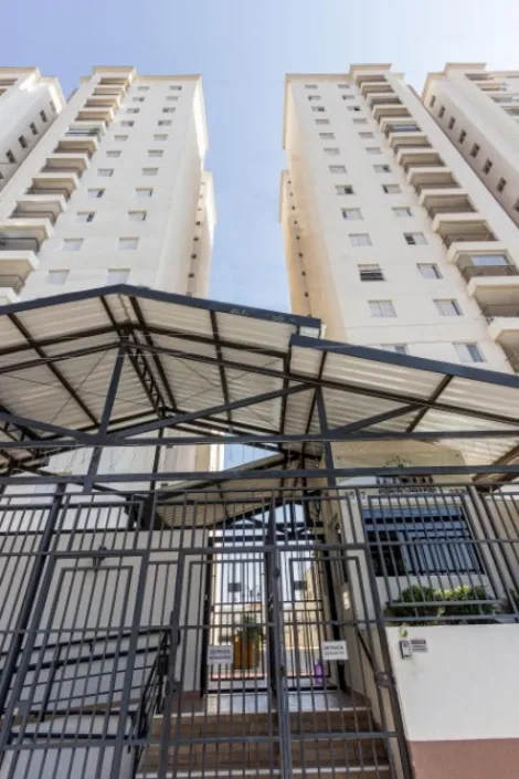 imagem 1 - Imóvel residencial disponível para locação no bairro Paulista em Piracicaba imagem 1 - Imóvel residencial disponível para locação no bairro Paulista em Piracicaba