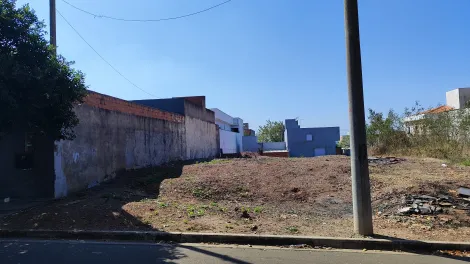 imagem 4 - Terreno à venda plano em Santa Terezinha imagem 4 - Terreno à venda plano em Santa Terezinha