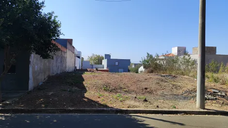 imagem 5 - Terreno à venda plano em Santa Terezinha imagem 5 - Terreno à venda plano em Santa Terezinha