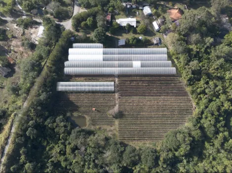 imagem 1 - Sitio produtivo à venda em Piracicaba imagem 1 - Sitio produtivo à venda em Piracicaba
