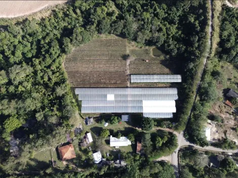imagem 2 - Sitio produtivo à venda em Piracicaba imagem 2 - Sitio produtivo à venda em Piracicaba