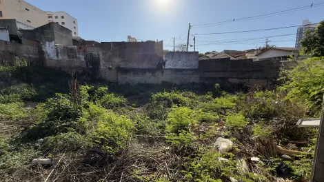 imagem 4 - terreno para alugar ou vender imagem 4 - terreno para alugar ou vender