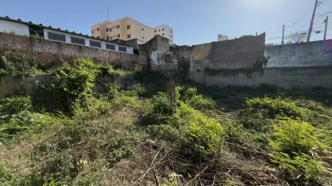 imagem 5 - terreno para alugar ou vender imagem 5 - terreno para alugar ou vender