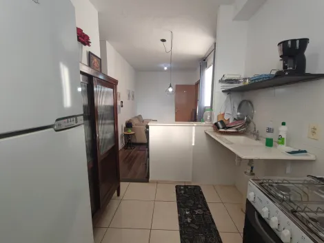 imagem 5 - Apartamento para alugar no Jardim São Francisco (Bongue) imagem 5 - Apartamento para alugar no Jardim São Francisco (Bongue)