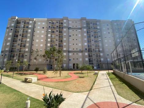 imagem 1 - Apartamento para alugar em Piracicaba imagem 1 - Apartamento para alugar em Piracicaba
