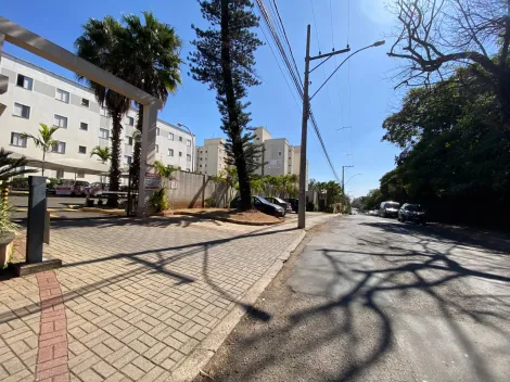 imagem 4 - Apartamento para locação em Piracicaba no bairro Campestre imagem 4 - Apartamento para locação em Piracicaba no bairro Campestre
