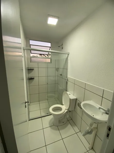 imagem 5 - Apartamento Disponível para Locação no Bairro Vila Sônia imagem 5 - Apartamento Disponível para Locação no Bairro Vila Sônia
