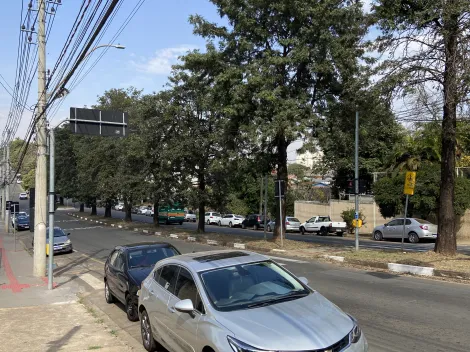 imagem 5 - Salão Comercial de 300 m² com Mezanino e Acessibilidade ,  Av. Antônio Pazzinato Sturion . imagem 5 - Salão Comercial de 300 m² com Mezanino e Acessibilidade ,  Av. Antônio Pazzinato Sturion .