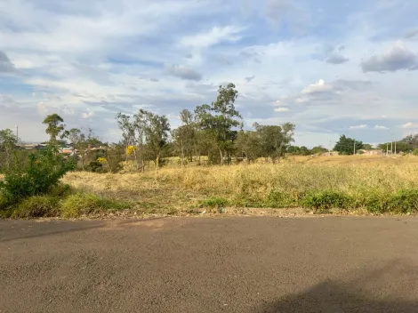 imagem 2 - Terreno à venda no bairro Cecap imagem 2 - Terreno à venda no bairro Cecap