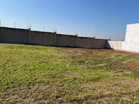 imagem 4 - Terreno à Venda em Condomínio - Rio das Pedras/SP - Quinta do Engenho imagem 4 - Terreno à Venda em Condomínio - Rio das Pedras/SP - Quinta do Engenho