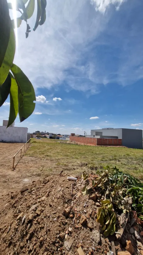 imagem 2 - Terreno para locação em Saltinho imagem 2 - Terreno para locação em Saltinho