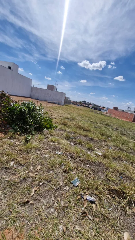 imagem 3 - Terreno para locação em Saltinho imagem 3 - Terreno para locação em Saltinho