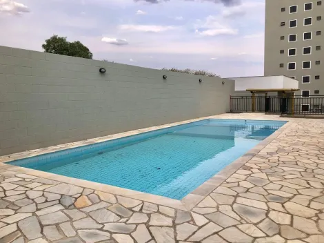 imagem 4 - Apartamento para alugar em Piracicaba no bairro Água Branca imagem 4 - Apartamento para alugar em Piracicaba no bairro Água Branca